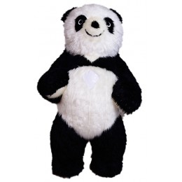 Panda z długim futrem